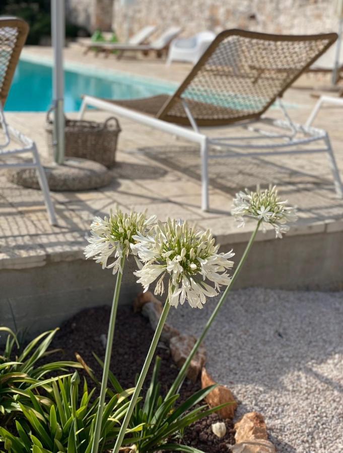 Dimora Le Ginestre Adults Only Bed and Breakfast Φαζάνο Εξωτερικό φωτογραφία