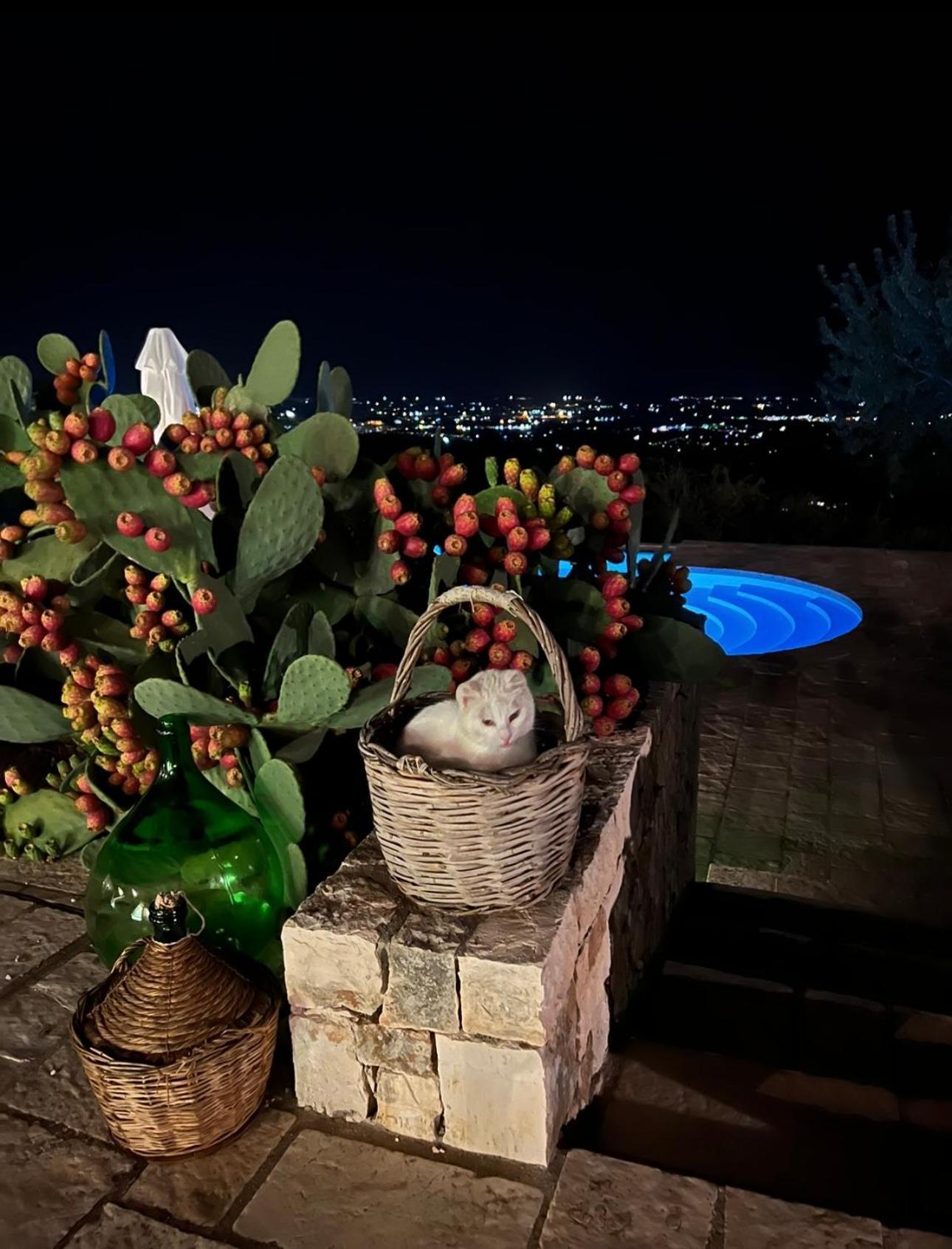Dimora Le Ginestre Adults Only Bed and Breakfast Φαζάνο Εξωτερικό φωτογραφία